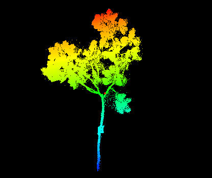 Blog - point cloud - close up of foliage