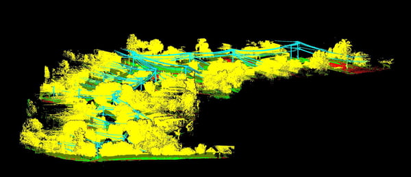 Region with all elements including vegetation